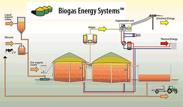 This image has an empty alt attribute; its file name is Biogas-Plant-4.jpeg